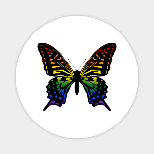 Rainbow butterfly Magnet